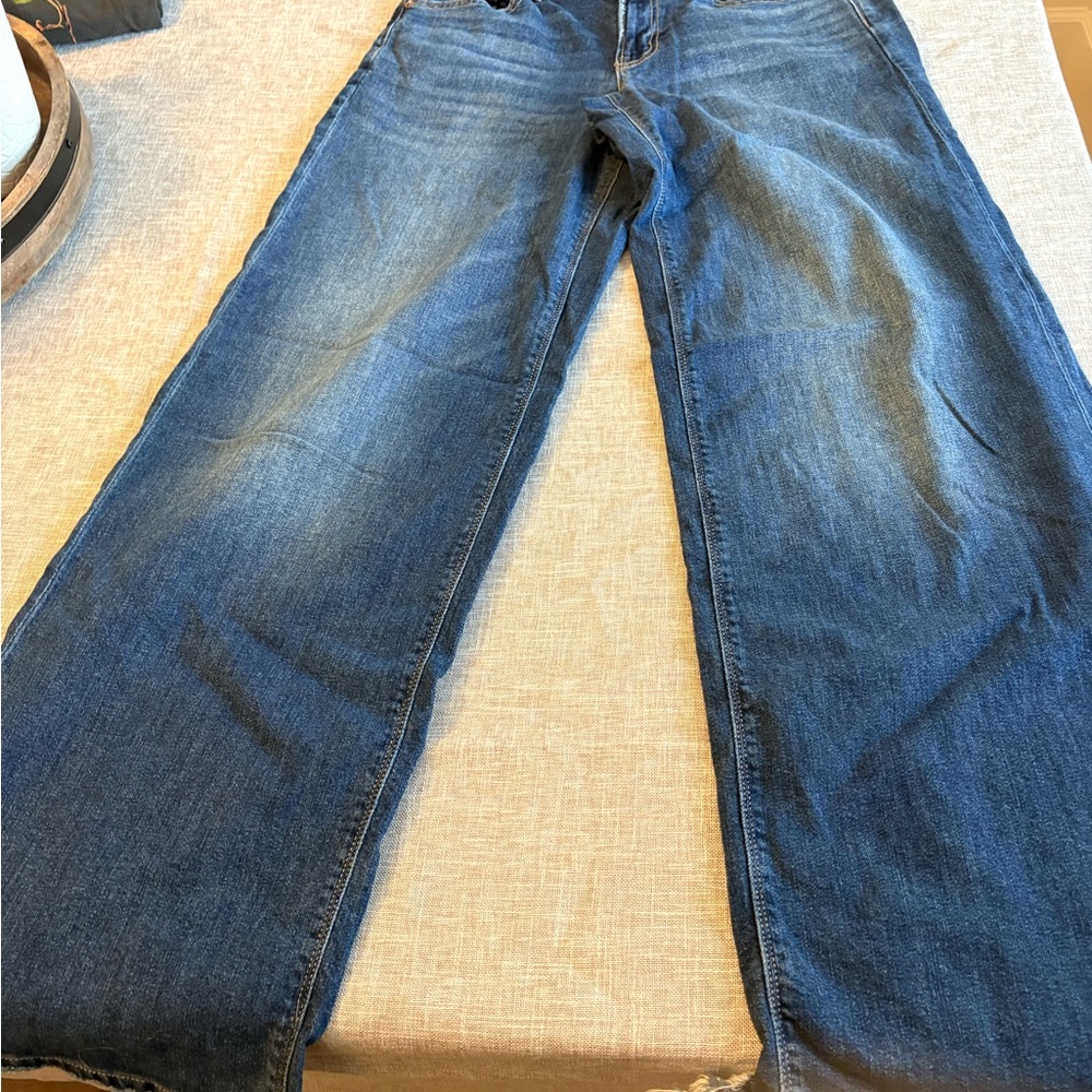 American Eagle Low Rise Baggy Wide Leg Women's Size 4